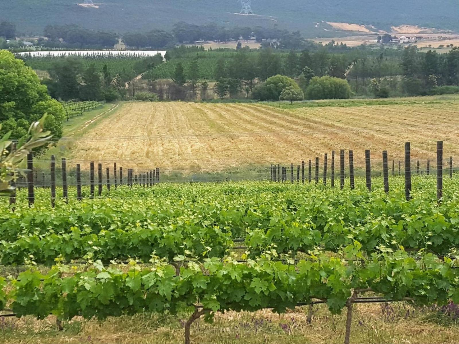 Lemberg Wine Estate Villa Tulbagh Exterior photo